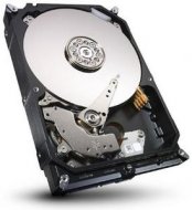 HDD WD SATA3 1Tb Purple Video IntelliPower 64Mb , 